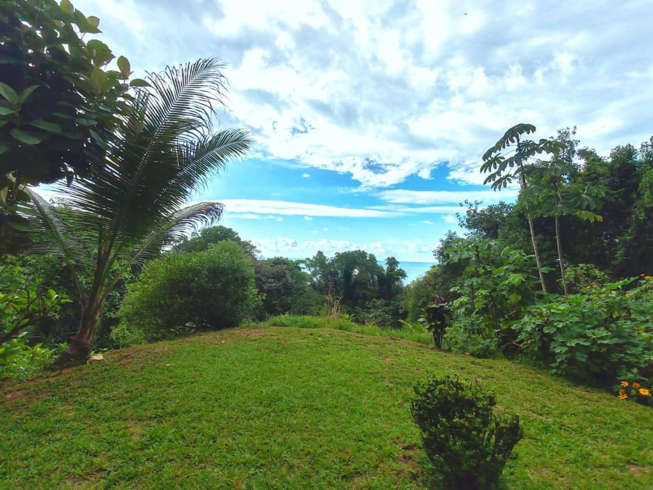Corcovado Green Cabin & House Drake Bay Exterior photo