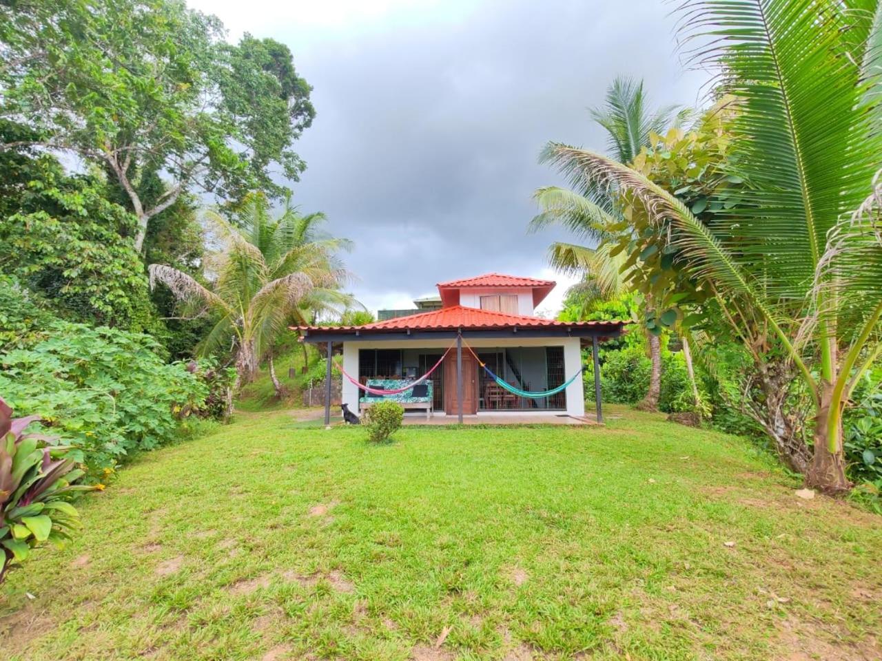 Corcovado Green Cabin & House Drake Bay Exterior photo