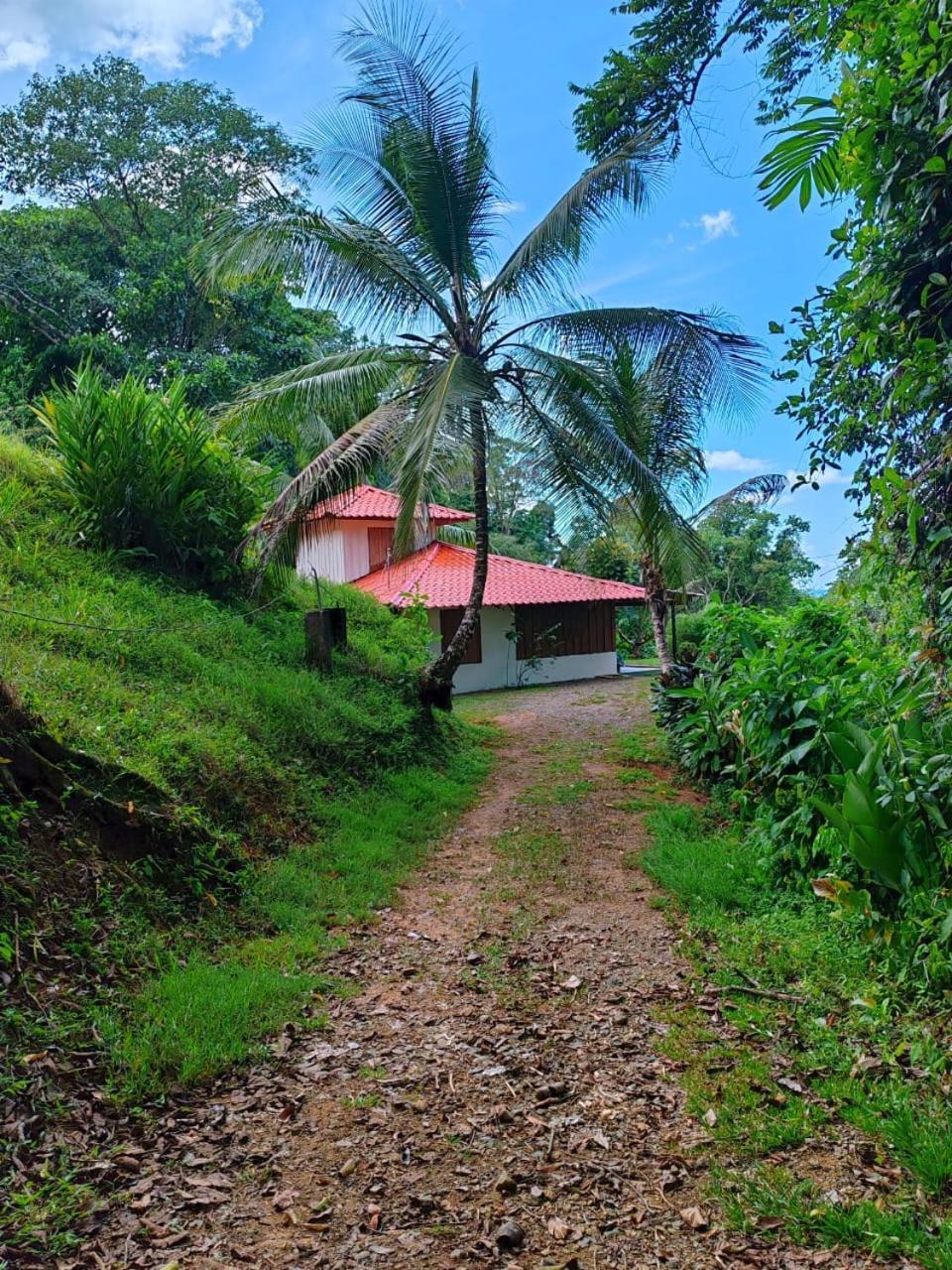 Corcovado Green Cabin & House Drake Bay Exterior photo